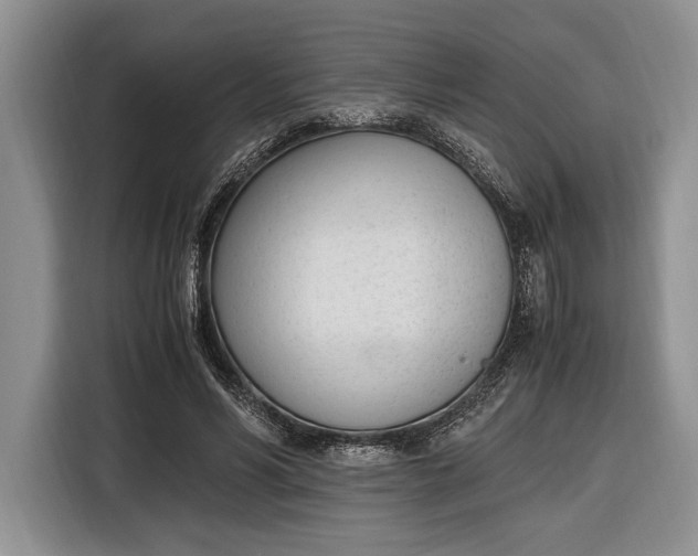 X0000116330590200912091041
