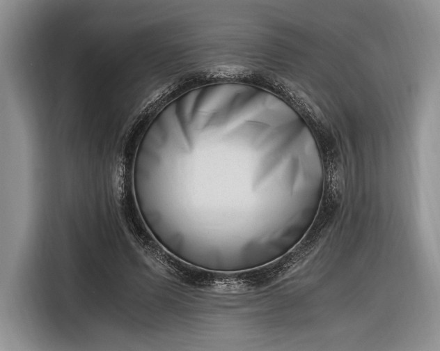 X0000116330591200912091041