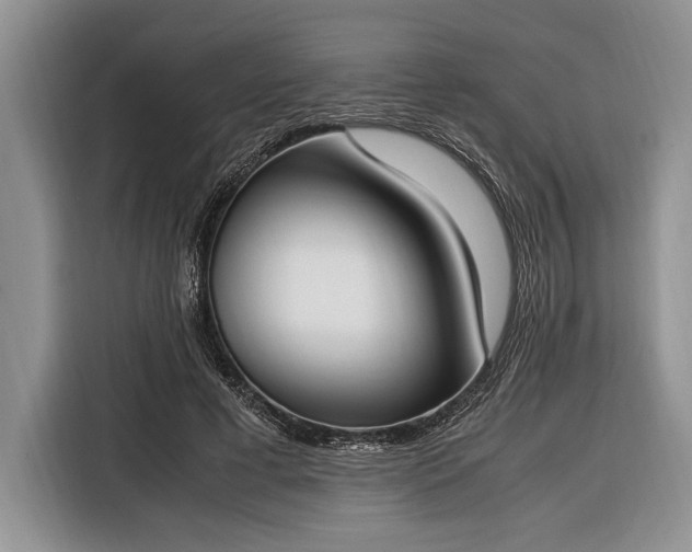 X0000116330593200912091041