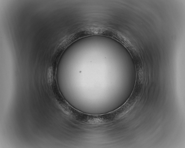 X0000116330594200912091041