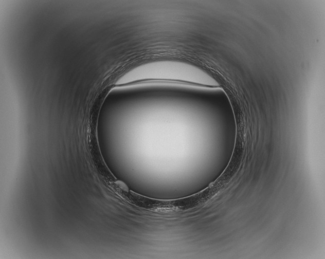 X0000116330595200912091041
