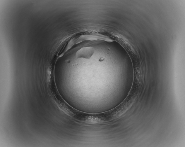 X0000116330596200912091041