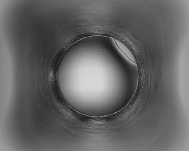 X0000116330597200912091041