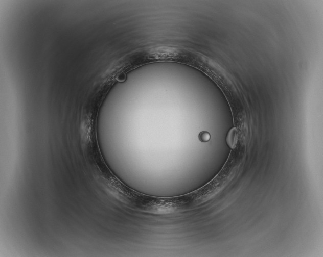 X0000116330604200912091041