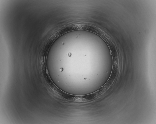 X0000116330605200912091041