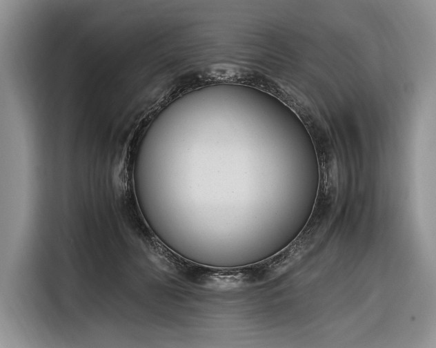 X0000116330606200912091041