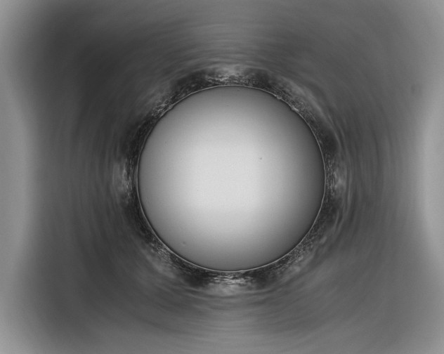 X0000116330607200912091040