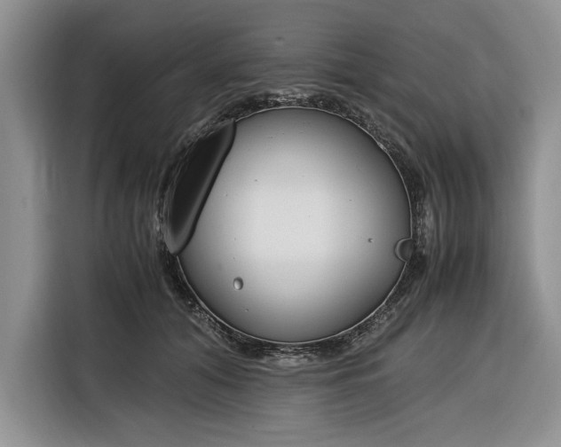 X0000116330608200912091040