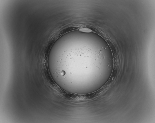 X0000116330609200912091040
