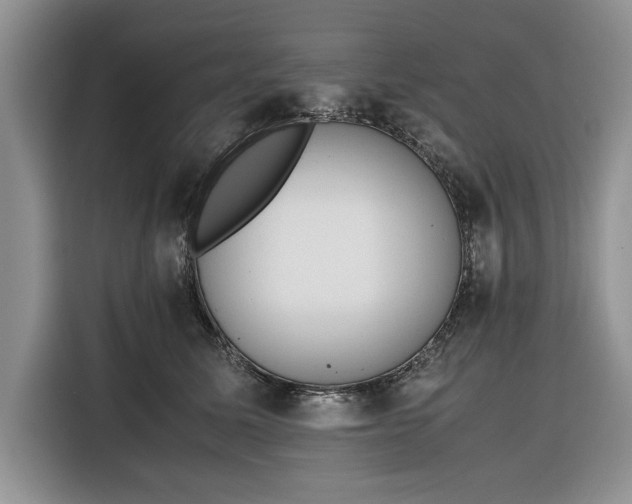 X0000116330611200912091040
