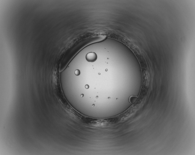 X0000116330612200912091040