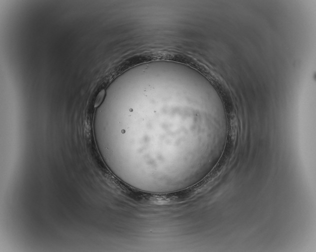 X0000116330613200912091040