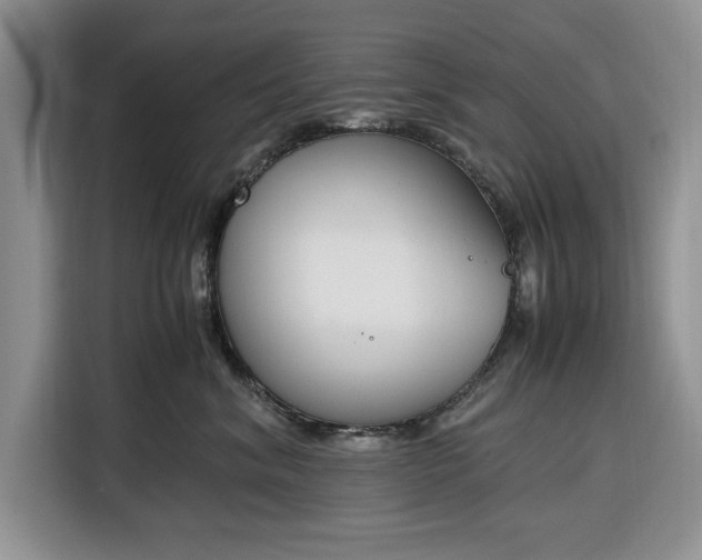 X0000116330620200912091040