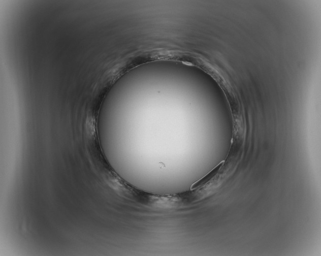 X0000116330621200912091040