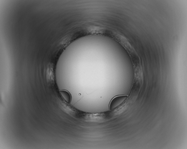 X0000116330622200912091040