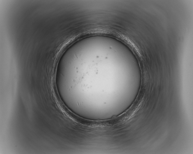 X0000116330625200912091040