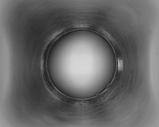 X0000116330627200912091040