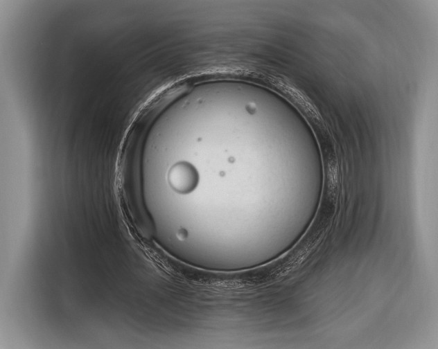X0000116330628200912091040