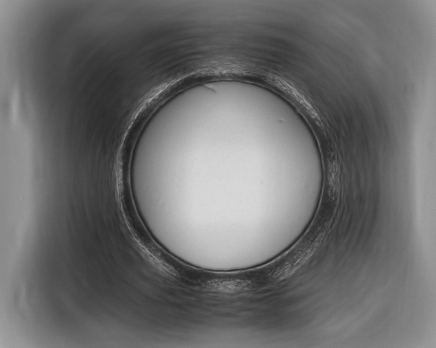 X0000116330629200912091040