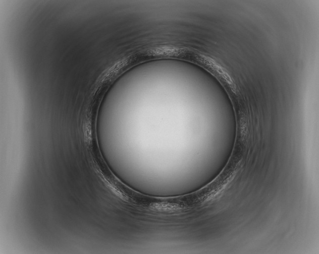 X0000116330633200912091040