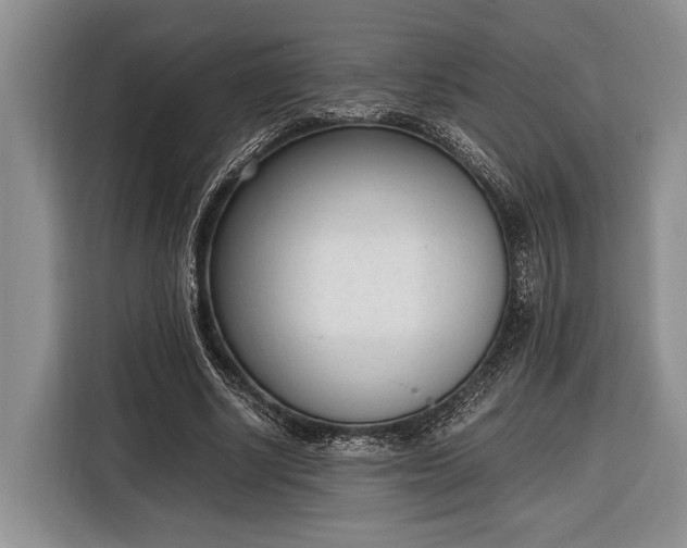 X0000116330634200912091040