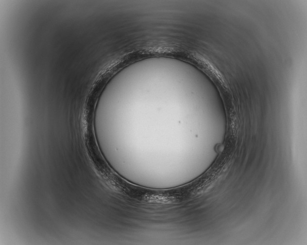 X0000116330635200912091040