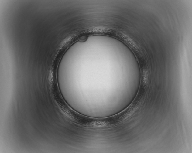 X0000116330636200912091040