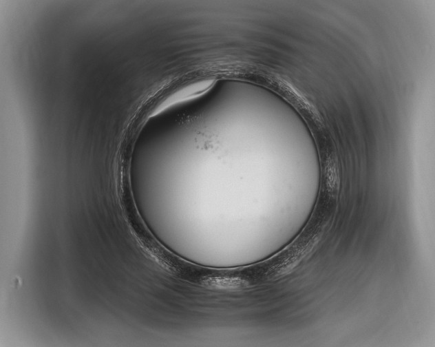 X0000116330637200912091040