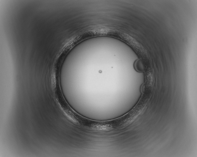 X0000116330638200912091040