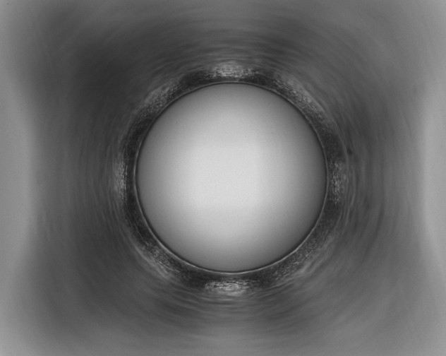 X0000116330639200912091040