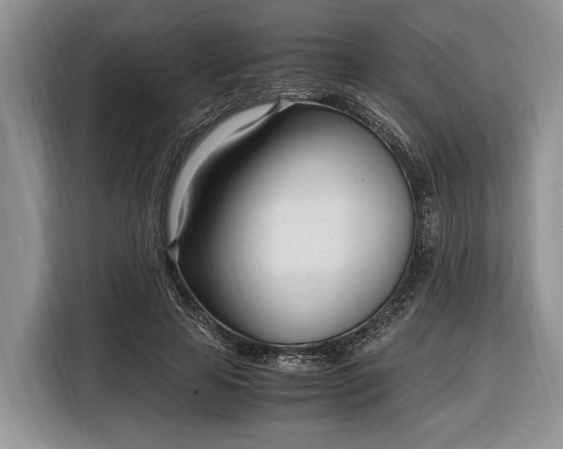 X0000116330641200912091040