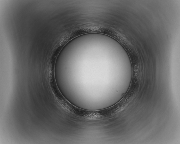 X0000116330642200912091040