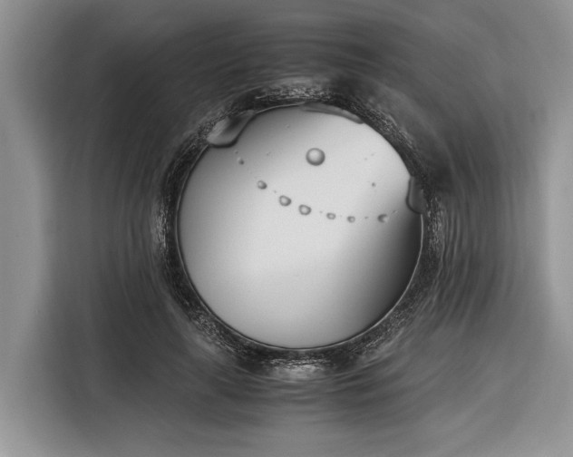 X0000116330643200912091040