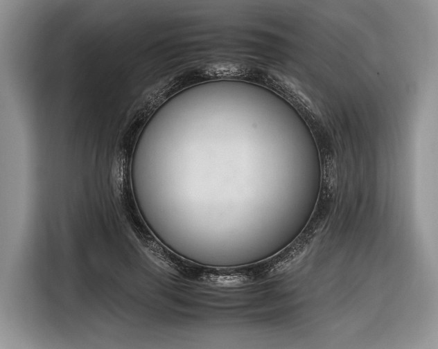 X0000116330645200912091040