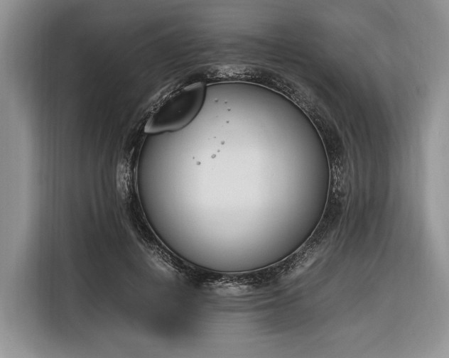 X0000116330648200912091040
