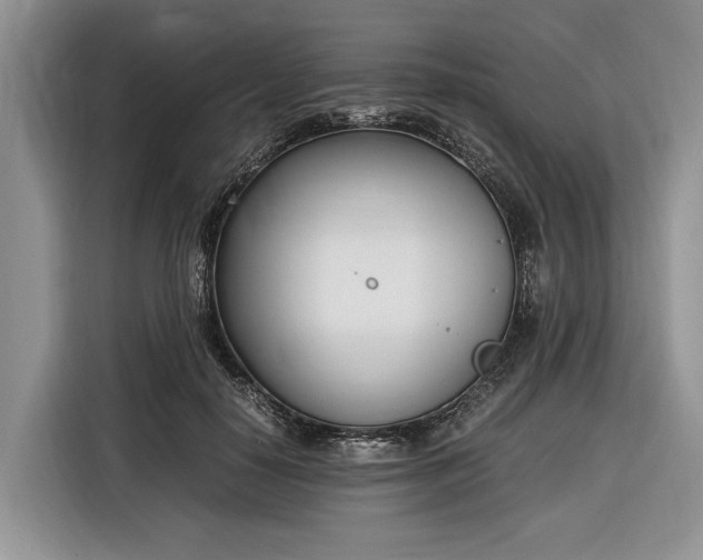 X0000116330650200912091040