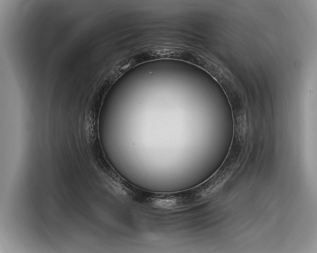 X0000116330653200912091040