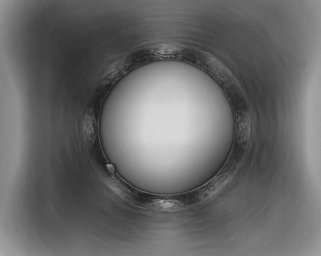 X0000116330654200912091040