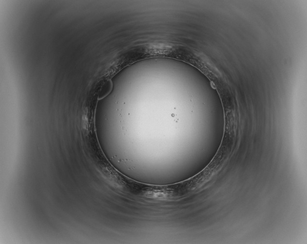 X0000116330655200912091040
