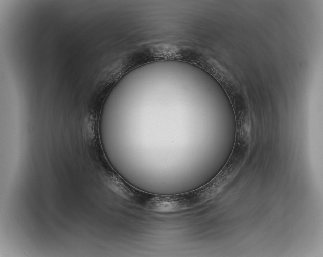X0000116330658200912091040