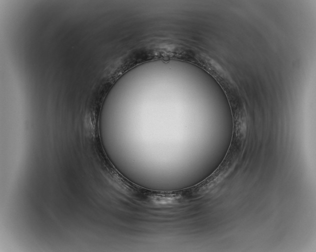 X0000116330661200912091040