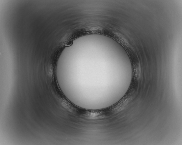 X0000116330662200912091040