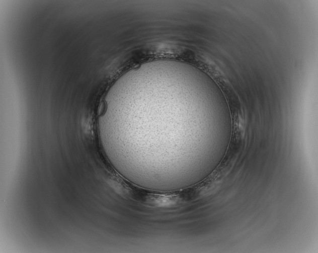 X0000116330663200912091040