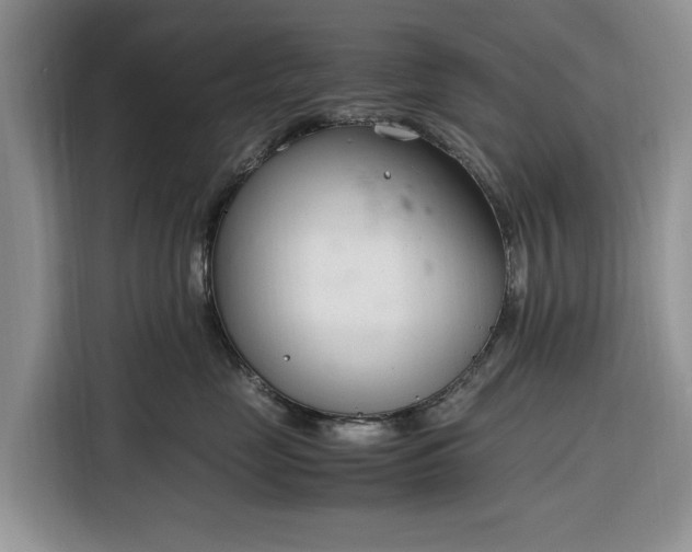 X0000116330669200912091040