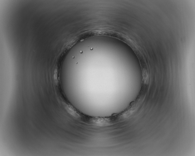 X0000116330670200912091040