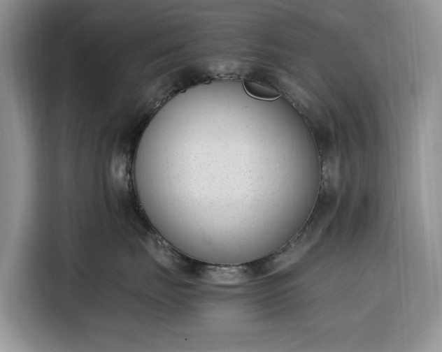 X0000116330671200912091040