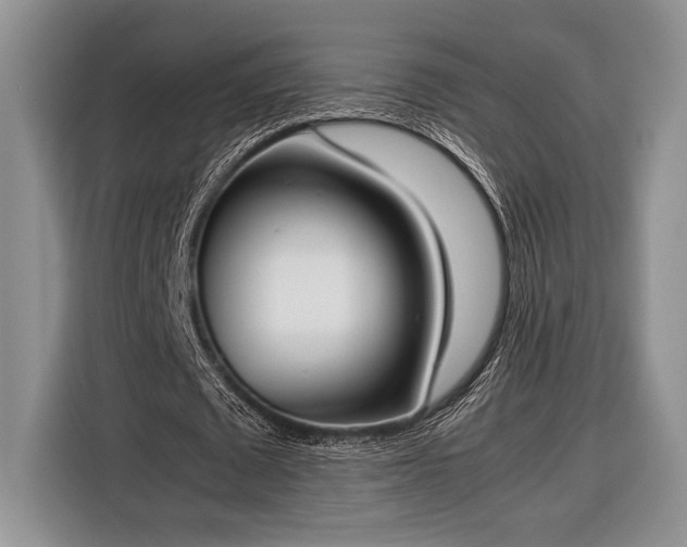 X0000116330673200912091040