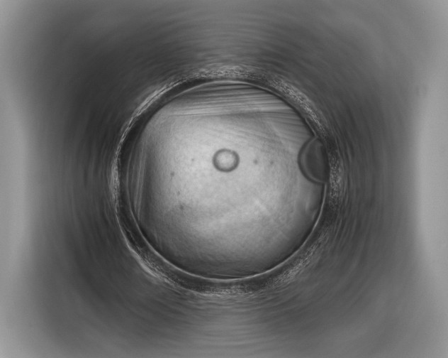 X0000116330674200912091040