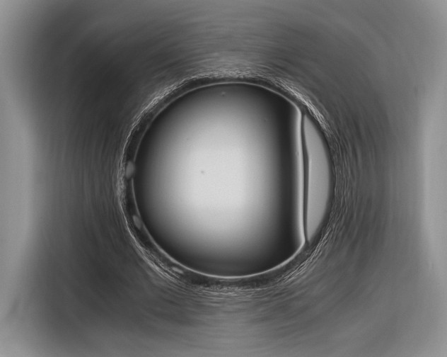 X0000116330677200912091040