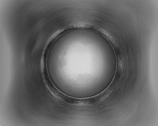 X0000116330678200912091040